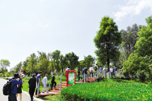 85591653760094285 85591653760094285