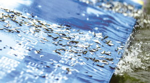 54881654533613890 54881654533613890