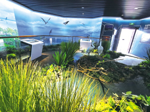 79171659981092195 79171659981092195