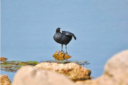 QQ图片20230403113215 QQ图片20230403113215